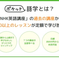 ポケット語学とは