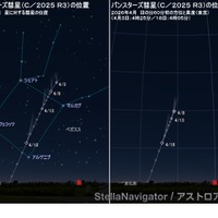 明け方のパンスターズ彗星の位置（左：背景の星に対する位置／右：日の出60分前の方位と高度・東京）