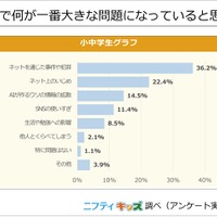 SNSで何が一番大きな問題になっていると思う？