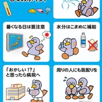 「熱中症予防5つのポイント」チラシ