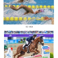 都内で開催される水泳と馬術 (c) OCA