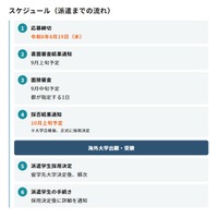 スケジュール（派遣までの流れ）