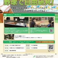 野球で自由研究！