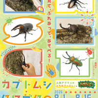 カブトムシ・クワガタのふれあい世界展 2026