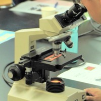 顕微鏡で植物の細胞を観察してみよう（横浜市立大学）