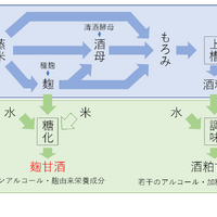 甘酒は大きく分けて2種類（「第11回日本微生物学連盟フォーラム」八海醸造 倉橋敦さんの発表資料より）