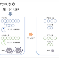 麹甘酒のつくり方（「第11回日本微生物学連盟フォーラム」八海醸造 倉橋敦さんの発表資料より）