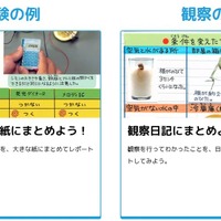 まとめ方のコツ（実験の例、観察の例）