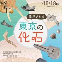 特別展「発見された東京の化石」