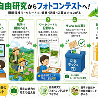 自由研究からフォトコンテストへ！