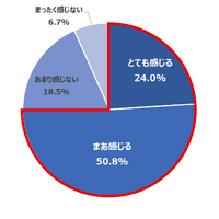 Q 夏休み期間中の子どもや食事の準備・調理において、どのくらいプレッシャーを感じますか。（n=600）