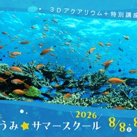 つるみ・ちゅらうみ サマースクール2026