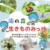 生きもの観察（海の森公園）
