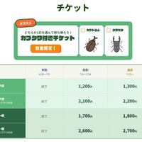 チケット