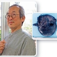 講演会 深海魚　その不思議なカタチのひみつ