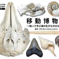 特別体験展示 移動博物館～さわって学ぶ海の生きもののカタチ