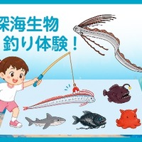 深海生物釣り体験！