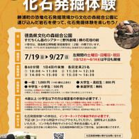 文化の森で化石発掘体験
