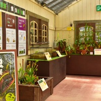 第5温室内、展示のようす
