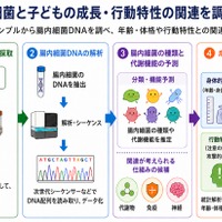 未就学児の腸内細菌、睡眠や情緒との関連を確認…金沢工業大・三重大