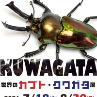 世界のカブト・クワガタ展