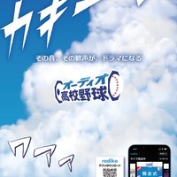 オーディオ高校野球
