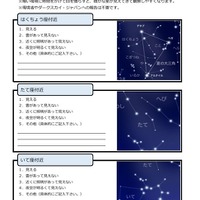 肉眼観察シート
