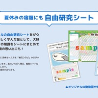 自由研究シート