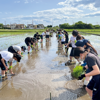 田植えから始まる「食と農」を中心とした探究学習