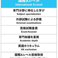 国際Aレベル（International A-Level）