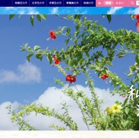 名桜大学