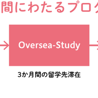充実した海外研修や留学プログラムによるグローバル教育