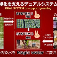 2025年度大賞作品「緑化を支えるデュアルシステムの開発」栽培環境班