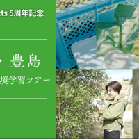 瀬戸内・豊島でオリーブ収穫＆環境学習ツアー10/25…小4以上対象