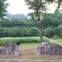 緑の学園へ向かうバスの車窓から見えたエコパーク。4号機建設時に生態系の保全を目的として整備された
