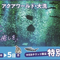 大洗水族館「東京都民の日」にあわせて割引キャンペーン