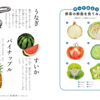 旬の食べ物や、野菜や果物の断面がイラストでわかりやすく説明されている