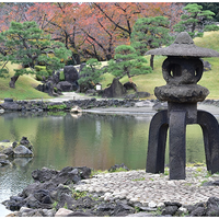 園内風景（2025年11月のようす）