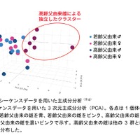 RNAシーケンスデータを用いた主成分分析