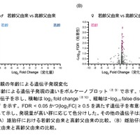 父親の年齢による遺伝子発現変化