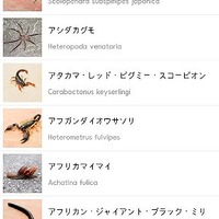 Android向け図鑑アプリ「注意！鬼虫大図鑑」