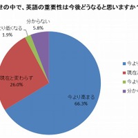 世の中で、英語の重要性は今後どうなると思いますか？