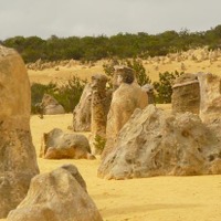 砂丘に奇岩が並ぶ、荒野の墓標………ピナクルズ / オーストラリア