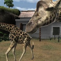 アニマルリゾート 動物園をつくろう!! アニマルリゾート 動物園をつくろう!!