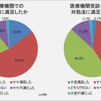 医療機関での治療に満足したか／医療機関受診以外の対処法に満足したか