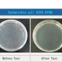 大腸菌。紫外線照射前（左）と後（右）