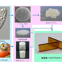 ミドリムシ／カシューナッツ殻から微細藻バイオプラスチックへの製造工程