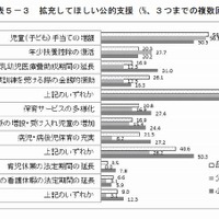 拡充してほしい公的支援