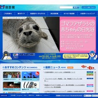 海遊館（Webサイト）