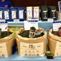 国産紅茶、佐賀県嬉野「相川製茶舗」